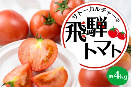《令和8年産先行予約》飛騨トマト 約4kg トマト