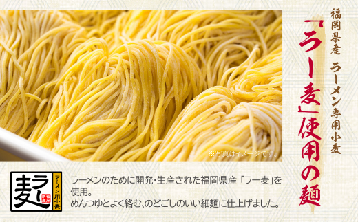 《先行予約》【4～8月発送】福岡県産ラー麦 ざるらーめん