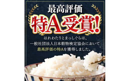 新米 鮮度を保ちやすい 真空パック ！【 12回定期便 】まっしぐら 白米20kg | 米 おこめ お米 こめ コメ ごはん ご飯 白飯 ゴハン 白米 精米 特産 ブランド米 ライス 2026年産 令