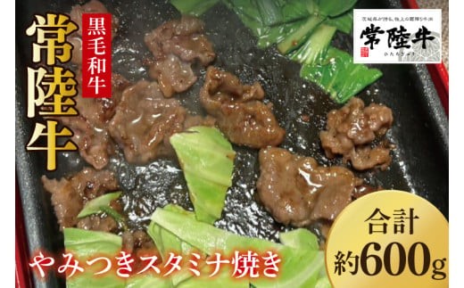 【数量限定】イチオシ！！常陸牛やみつきスタミナ焼600g【牛肉 和牛 ブランド牛 常陸牛 パーティ BBQ バーベキュー 水戸市 茨城県】(MJ-2)