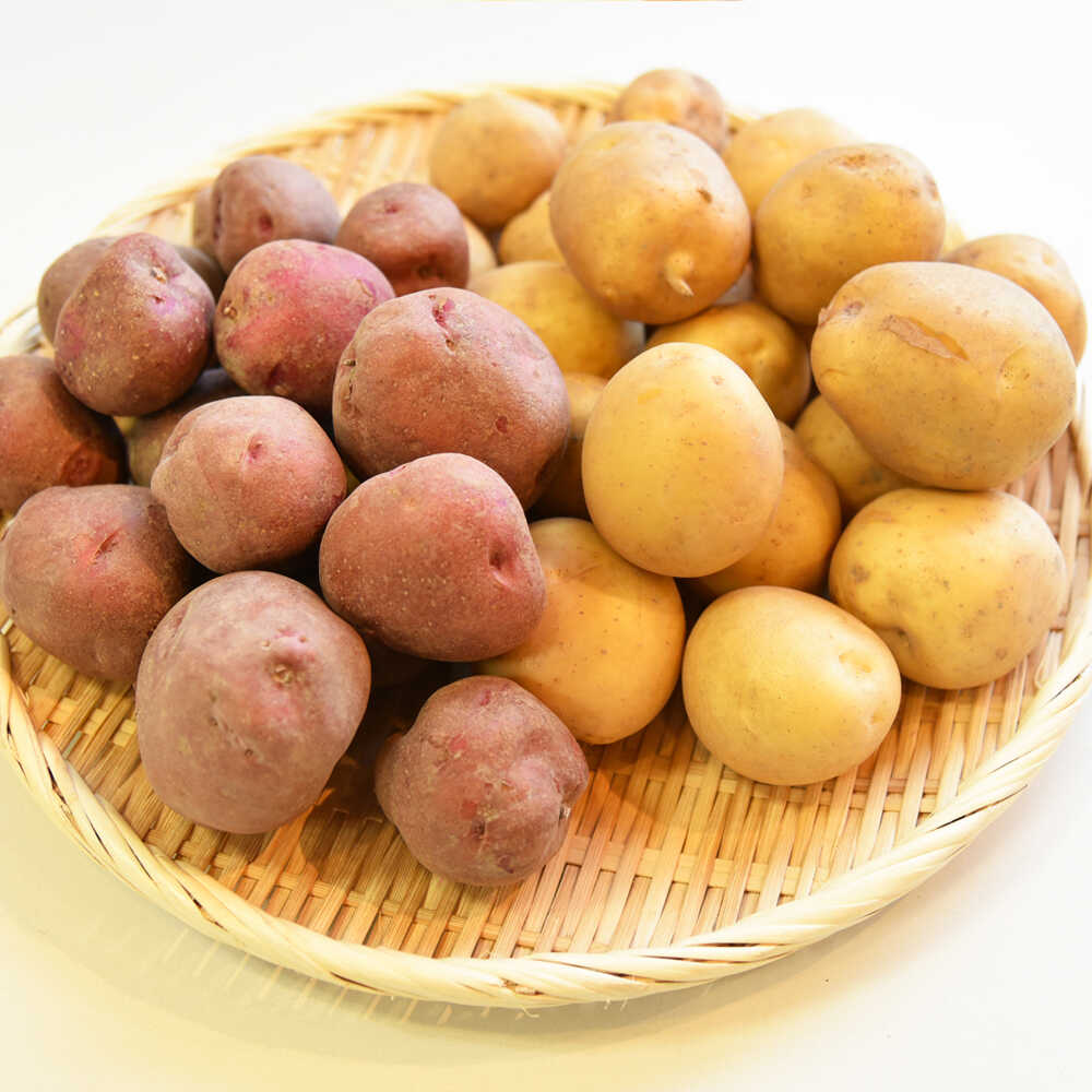 【ふるさと納税】【先行予約：2026年11月中旬頃より順次発送】和らぎ農法 ほっこり便 じゃがいも 秋じゃが編 2.5kg 栗東市 / 株式会社 ワダケン[BIBM011]