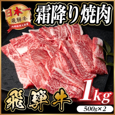 飛騨牛 霜降り焼肉 約1kg(約500g×2)BBQ用(上カルビ、肩ロース、カイノミなど)訳あり【配送不可地域：離島】
