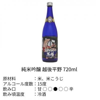 ふるさと納税 三条市 ジャイアント馬場 日本酒 720ml×3本セット 純米吟醸 [福顔酒造]【022S016】 |  | 03