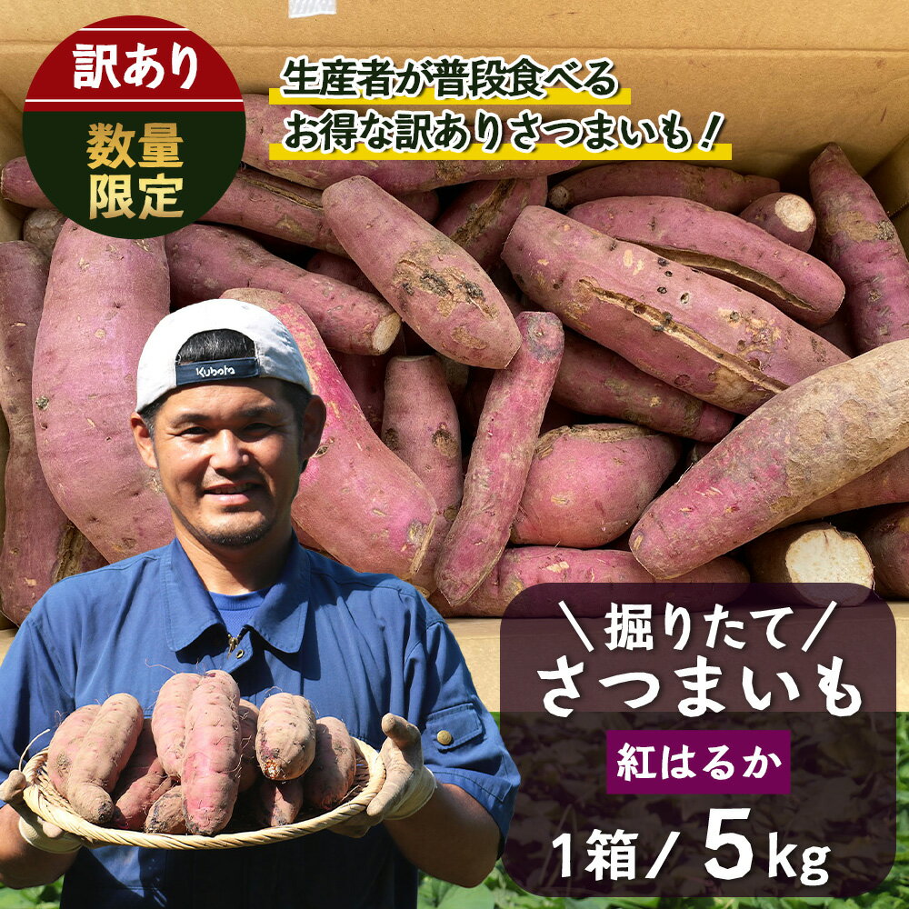 【ふるさと納税】訳あり さつまいも 紅はるか 堀りたて5kg ( 1箱 ) 新物 鹿児島県産 2025年9月順次発送