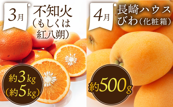 【3回コース】果物屋が選ぶ旬のフルーツ定期便 いちご メロン びわ みかん 梨 柿 など / 南島原市 / 贅沢宝庫 [SDZ024]