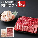 【ふるさと納税】くまもとあか牛 焼肉セット 合計1kg もも700g ホルモン300g 和牛 牛肉 あか牛 赤牛 お肉 精肉 焼肉 BBQ モモ肉 もつ モツ グルメ お取り寄せ 冷凍 熊本県産 国産 菊池市 送料無料