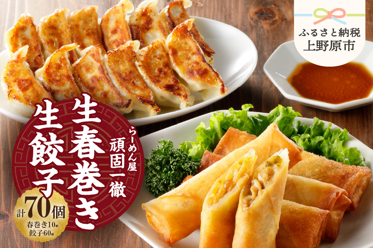 
            一徹堂・冷凍生餃子(60個)＆生春巻き(10本)セット 一徹ラーメン 餃子×60個 春巻き×10個 計70個 約1.6kg 大容量冷凍生餃子 30個×2パック 生春巻き 5個×2パック レトルト 総菜 つまみ 時短 人気 一徹堂 贈り物 プレゼント 送料無料 山梨県 上野原市
          