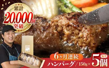 【全6回定期便】ハンバーグ 5個入 ふわとろハンバーグ ご自宅用 簡易包装 [YF11] 