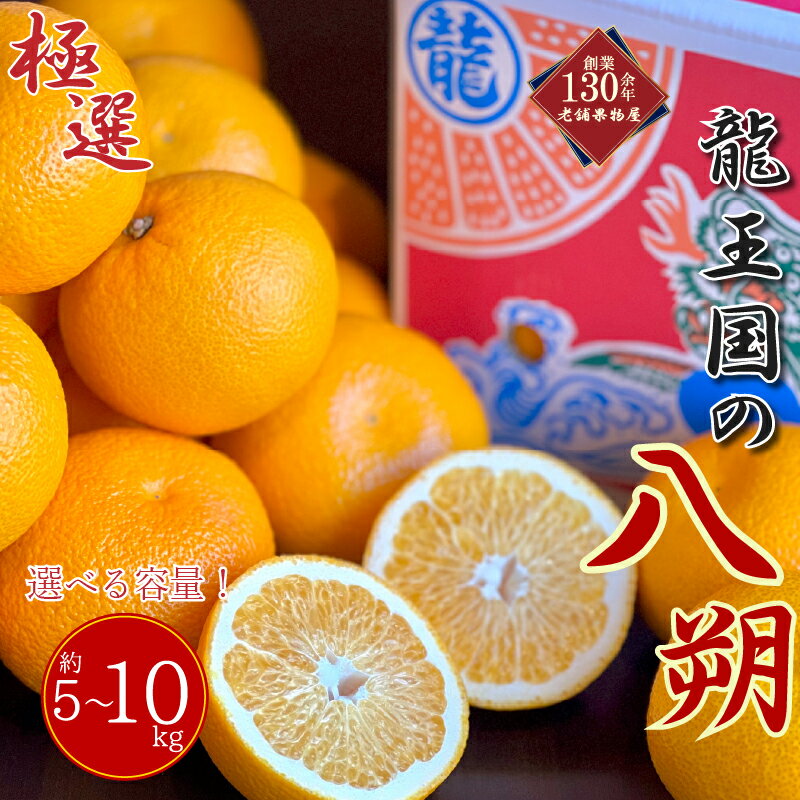 【ふるさと納税】 【2027年3月中旬より順次発送】【極選】龍王国の八朔 約5kg 約10kg 八朔 はっさく ハッサク 柑橘 果物 フルーツ 果実 みかん ふるさと納税みかん 美味しい 人気 旬のフルーツ 旬の果物 フルーツギフト 果物ギフト お取り寄せ 香川県 丸亀市