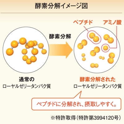 【毎月定期便】酵素分解ローヤルゼリーキング (560)全6回【4010072】