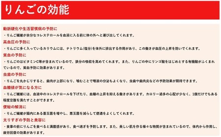  季節の品種 北上 りんご 約2kg 訳あり 順次発送！！ 岩手県産 C0565 P＆Cリンク 詰め合わせ 季節限定（黄王 つがる ジョナゴールド 星の金貨 スリムレッド ふじ フジ シナノゴールド 