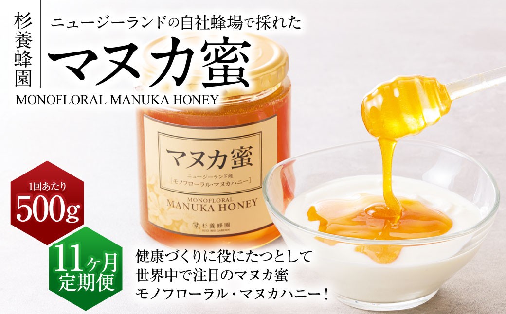 【11ヶ月定期便】ニュージーランド産 マヌカ蜜 約500g×11ヶ月 ／ 計約5.5kg
