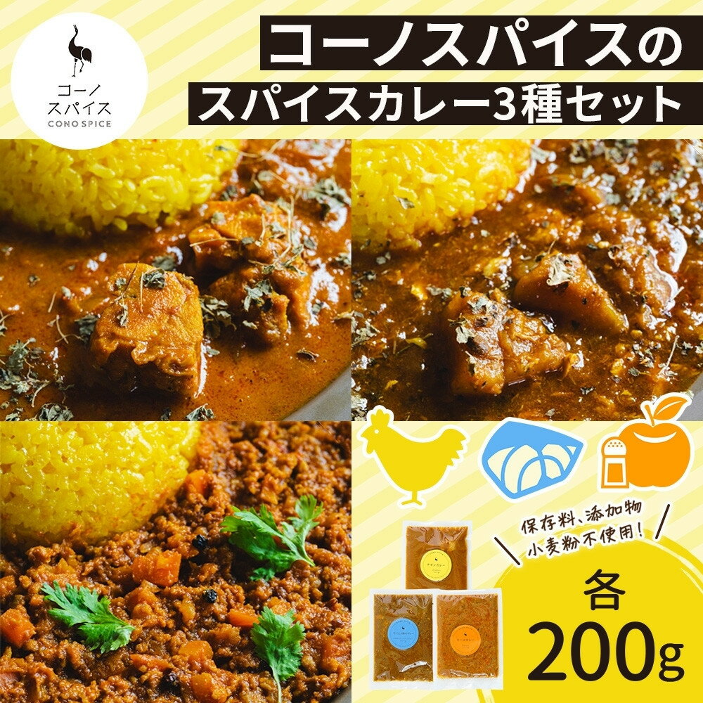 【ふるさと納税】コーノスパイス スパイスカレー3種セット チキンカレー サバと大根のカレー キーマカレー 各200gパック 小麦粉不使用 グルテンフリー CONO SPICE コーノコーラ 愛知県 名古屋市