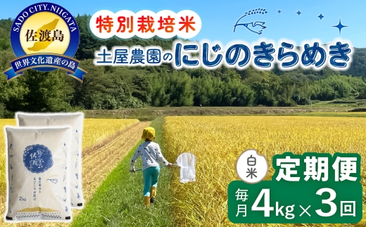 【定期便 令和8年産新米 3か月】 佐渡島産にじのきらめき 白米 4Kg(2kg×2袋） 令和8年産新米 特別栽培米 土屋農園 | 新潟県産にじのきらめき 佐渡産にじのきらめき にじのきらめき お米 米 白米 精米 おこめ コメ 4キロ にいがた さど 新潟県 佐渡市