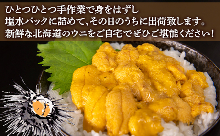 うに 塩水 ムラサキウニ 80g 北海道 豊浦 噴火湾 雲丹 2024年6月中旬～7月順次出荷 配送不可地域：離島
