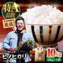 【ふるさと納税】令和6年産新米 お米 ヒノヒカリ 10kg（10kg×1袋）米・食味鑑定士×お米ソムリエ×白米ソムリエ お米 新米 おこめ 白米 ごはん 愛媛県産お米 \レビューキャンペーン中/大洲市/稲工房案山子[AGAV011]