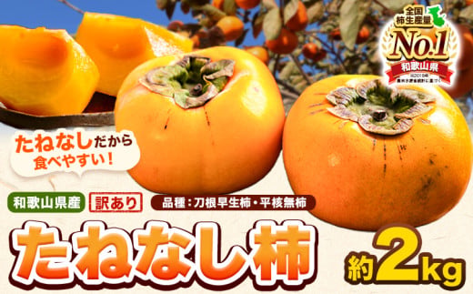 和歌山県産 訳あり たねなし柿（刀根早生柿・平核無柿）約2kg 《2026年9月中旬-11月上旬頃出荷(土日祝除く)》 和歌山県 岩出市 訳あり ご家庭用 種なし柿 柿 果物 フルーツ カキ