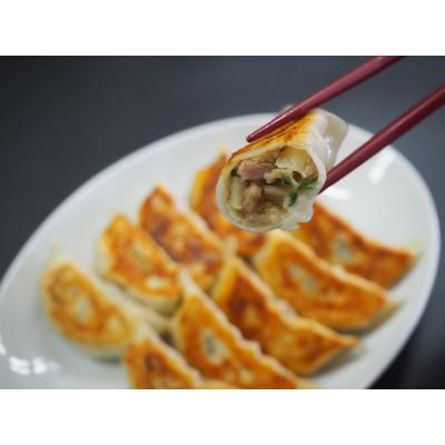 ふるさと納税 加須市 肉汁溢れる冷凍野菜餃子40個(10個入×4p) |  | 01