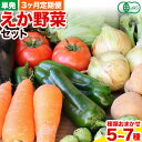 【ふるさと納税】えか野菜 おまかせ5～7種セット 有機JAS認定 株式会社えか自然農場 千葉県 流山市 オーガニック 無農薬 化学肥料不使用 旬 送料無料