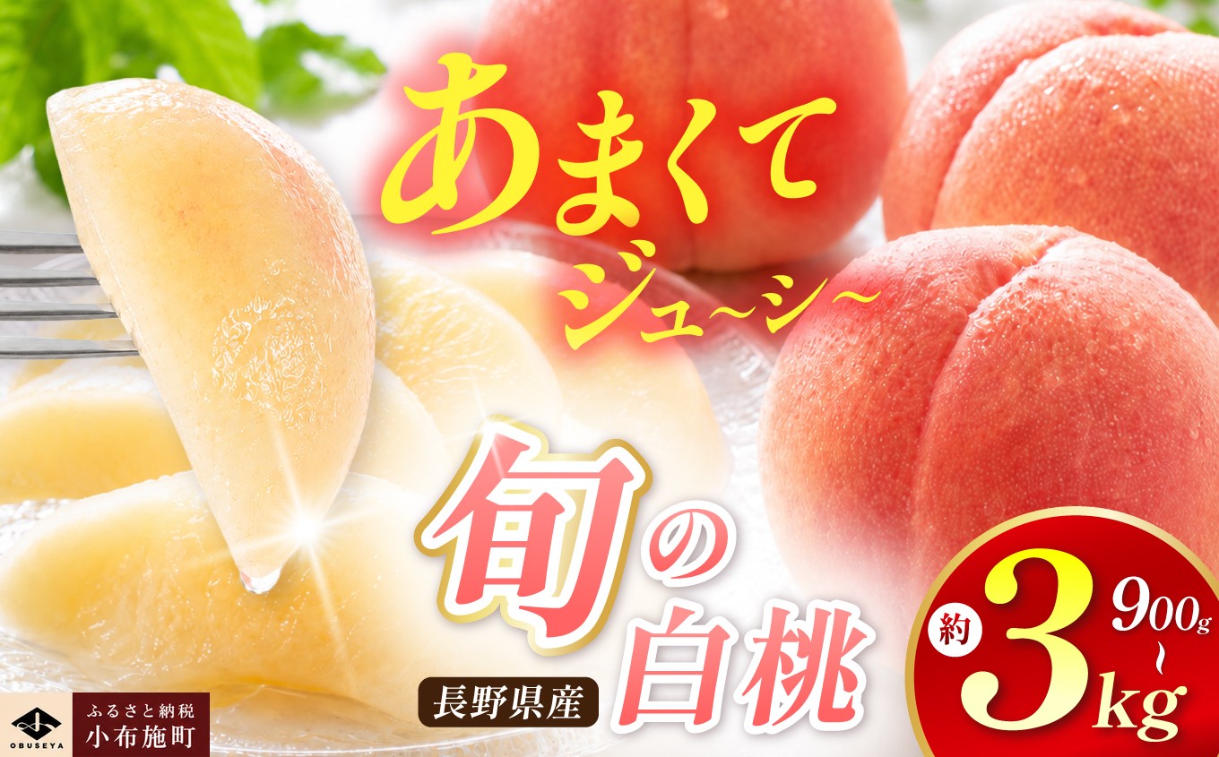 
                  旬の白桃 約900g 約2kg 約3kg 選べる内容量 ［小布施屋］ 長野県産 白桃 もも モモ フルーツ 果物 期間限定 数量限定 長野県産 信州産 クール便 冷蔵便 たまき なつき あかつき 川中島白鳳 川中島白桃など 先行予約 2026 令和8年産 【2026年7月上旬～9月中旬発送】
                