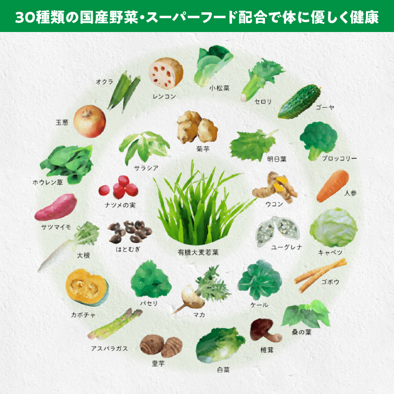 ＜2ヶ月に1度、6回送付＞国産有機大麦若葉＆３０種の野菜