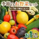 【ふるさと納税】季節のお試しお野菜セット（お一人様向け） アグロノーム 西洋野菜※2024年7月以降発送開始