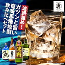 【ふるさと納税】 濾過粗め ガツンと旨い 奄美黒糖焼酎 飲み比べセット 4本 黒糖 焼酎 セット 酒 弥生 せえごれ 荒濾過 喜界島 飲み比べ 熟成 本格 ロック リカーショップメグミ 鹿児島 奄美市 おすすめ ランキング プレゼント ギフト