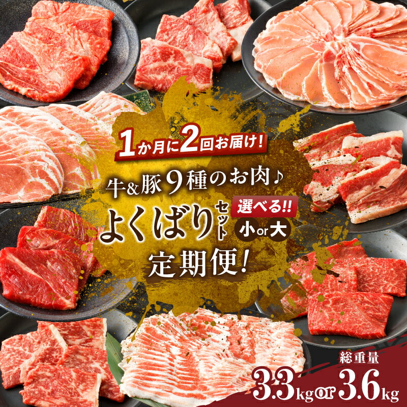 【ふるさと納税】定期便 ＼1か月に2回お届け！！／ 牛 豚 9種のお肉 よくばりセット 大・小 牛肉 豚肉 ビーフ ポーク 豚バラ 国産 食品 黒毛和牛 おかず お弁当 焼肉 すき焼き しゃぶしゃぶ おすすめ 人気 お取り寄せ グルメ お祝い 小分け ミヤチク 宮崎県 都農町 送料無料