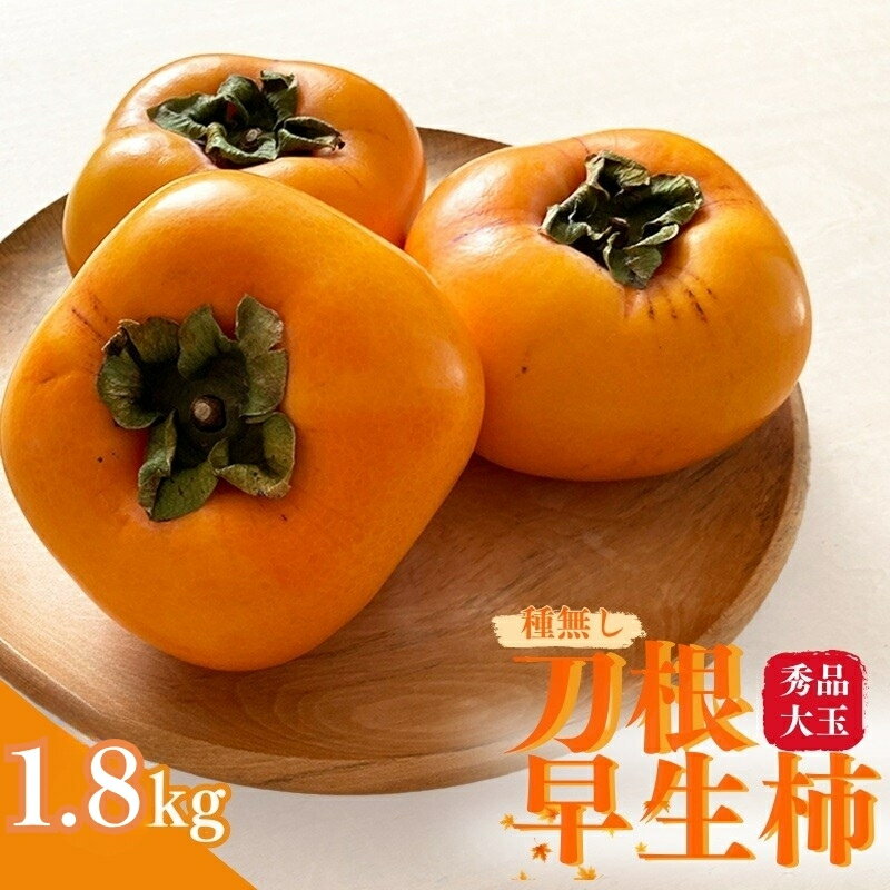【ふるさと納税】 【先行予約】種無し柿 刀根早生柿 秀品大玉 約1.8kg（6個） 2026年9月末頃～10月末頃に順次発送予定（お届け日指定不可）/ 柿 かき 種無し 秀品 大玉 フルーツ 果物 くだもの