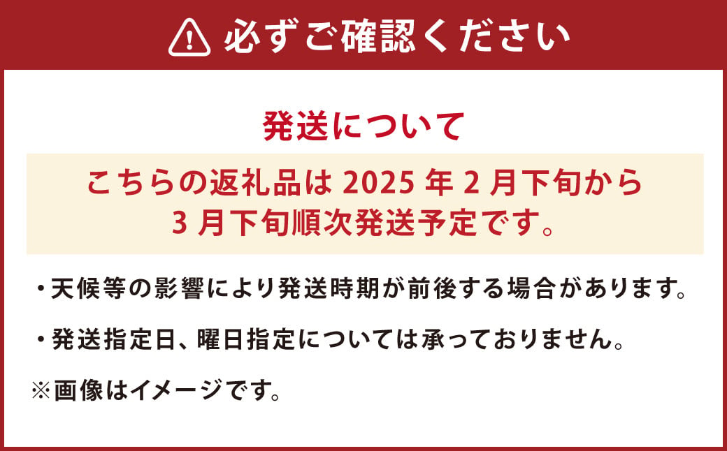 【先行受付】【数量限定】パール柑 約6kg【2025年2月下旬から3月下旬順次発送】