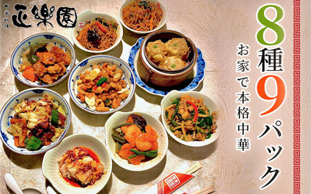 【正楽園】お家で本格中華 彩り中華三昧 満腹セット 8種9パック No.065