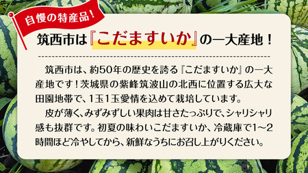 【 先行予約 】 こだますいか 4～5玉 スイカ 果物 フルーツ [AE006ci]