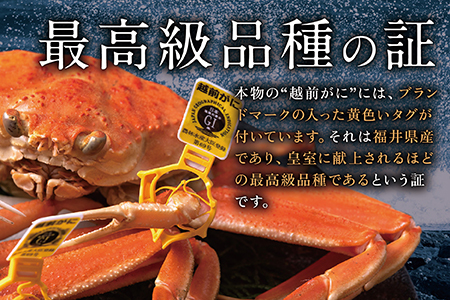 【冷蔵発送】越前がに（メス）「せいこがに」訳あり 150g前後 ×  10杯