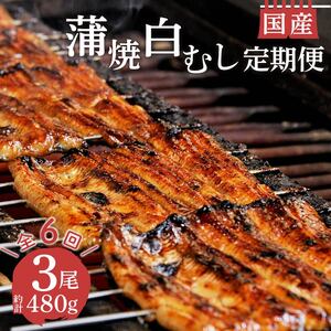 うなぎ 鰻 蒲焼 国産 2尾 白むし 1尾 480g 1袋 6ヶ月 定期便 静岡県 人気 うなぎ うなぎ うなぎ