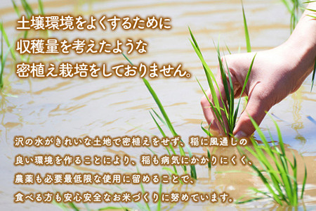 《新米先行受付》《定期便2ヶ月》【無洗米】あきたこまち 5kg 秋田県産 令和6年産  こまちライン