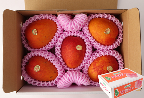 【2024年8月上旬発送開始】 徳之島 天城町産 宝果樹園 完熟マンゴー ご家庭用 2kg