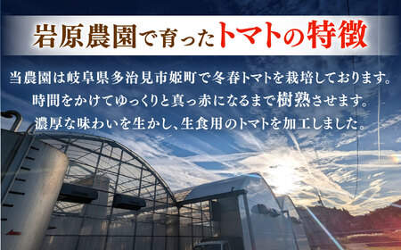 姫の完熟トマトケチャップ・トマトソース 各3本セット 多治見市 / 岩原農園 トマト とまと ケチャップ ソース 調味料[TFP003]