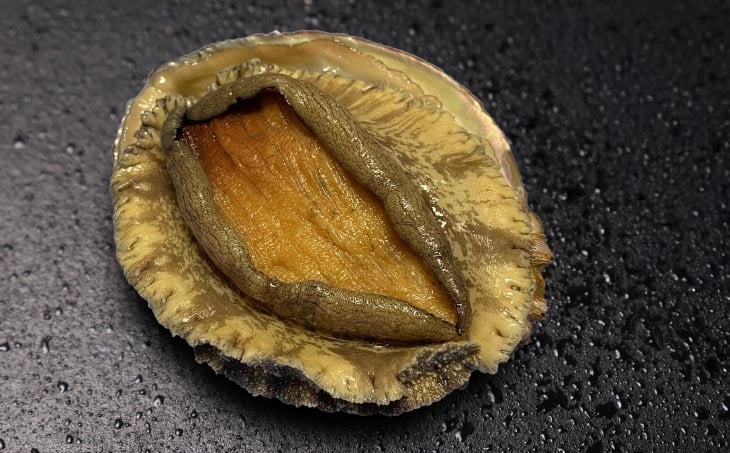 淡路島産天然アワビ（赤）大サイズ1個