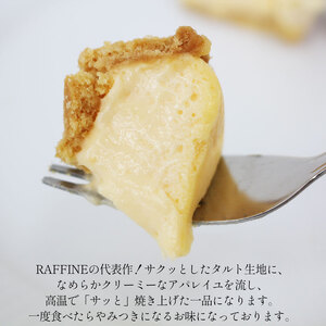 半生チーズ 10個入 | チーズ タルト