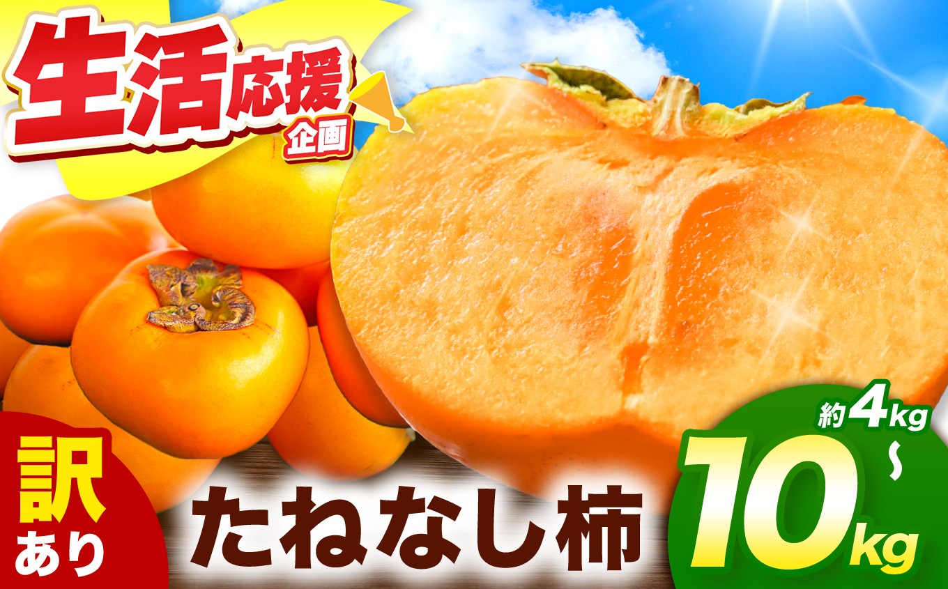 
                  訳あり たねなし柿 大人気 選べる４kg / 7k / g10kg | 種無し たねなし 柿 フルーツ 果物 くだもの カキ かき 農家直送 家庭用 フードロス 秋の味覚 旬 大小混合 奈良県 五條市 まろやか 食べやすい 種なし やさしい 甘さ 大容量 こだわり 産地直送 10月 秋 旬 自宅用 グルメ お取り寄せ 送料無料 高評価 わけあり 訳アリ 株式会社柳澤果樹園
                