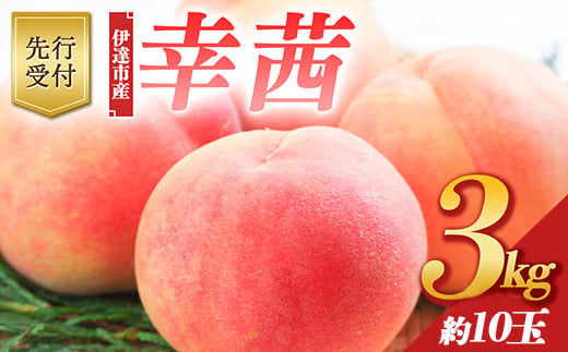 
            福島県産 幸茜 3kg 2025年8月中旬～2025年9月中旬発送 2025年出荷分 先行予約 予約 さちあかね 伊達の桃 大玉 固め 桃 もも モモ 果物 くだもの フルーツ 国産 食品 F20C-643
          