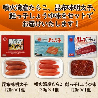ふるさと納税 鹿部町 丸鮮道場水産 北海道産 たらこ・明太子・筋子 120g×各1個(計360g) MC065-4S |  | 01