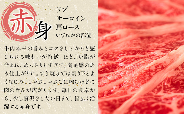 【12ヶ月定期便】岡山県産牛 スライス 赤身 1kg×12回《お申し込み月の翌月から出荷開始》 岡山県 笠岡市 肉 送料無料