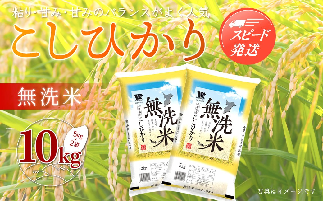 
                  【最短2～7営業日出荷】令和7年産 千葉県産「無洗米コシヒカリ」10kg（5kg×2袋） ふるさと納税 米 無洗米 コシヒカリ こしひかり 千葉県 大網白里市 A041
                