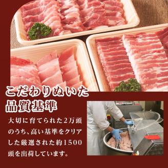 玉城豚焼肉セット