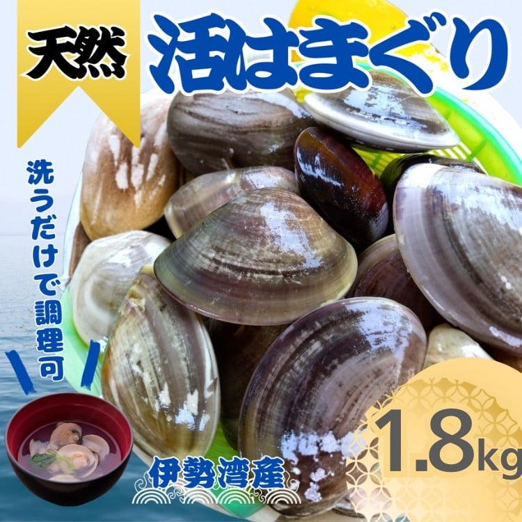 
             天然 はまぐり 1.8kg | 活はまぐり 天然はまぐり 蛤 ハマグリ 伊勢湾  天然 活 冷蔵 魚介 魚貝 海鮮 貝 出汁 だし 味噌汁 酒蒸し グラタン お祝い ひなまつり 節句 おせち 贅沢 人気 おすすめ 愛知県 美浜町 ※北海道・沖縄・離島への配送不可
          