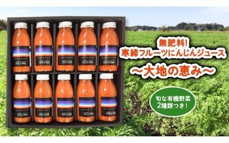 にんじんジュース 計10本 寒締 有機野菜2種類つき