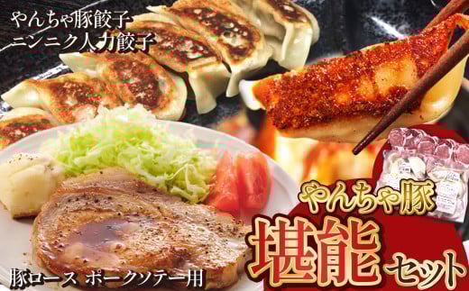 下野市 黒沢牧場 やんちゃ豚堪能セット ロース 約1kg やんちゃ豚餃子 24個  ニンニクたっぷり人力餃子 24個 | 餃子 ロース 豚 肉 豚餃子 やんちゃ豚 人力餃子 栃木県 特産品 下野市 しもつけ市
