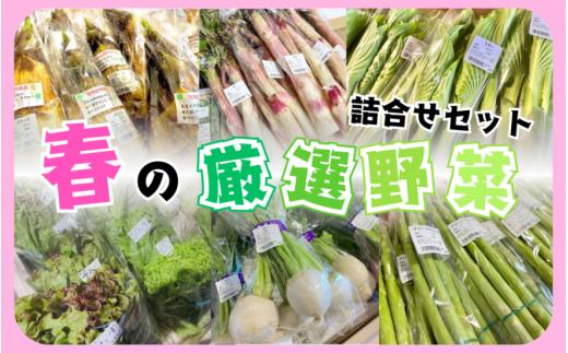 【令和7年の先行予約】ラポルテ五泉春の厳選野菜詰合せ [2025年3月以降順次発送] 新潟県 五泉市 まるっと五泉プロジェクトFunSpace株式会社