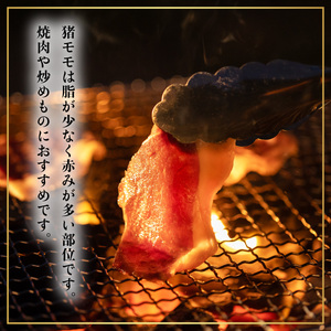 ジビエ 食べ比べ セット 猪肉 鹿肉 モモ 計1.2kg セット 鹿肉 ブロック 600g 猪 スライス600g 阿波ジビエ 阿波地美栄 ドリームチーム